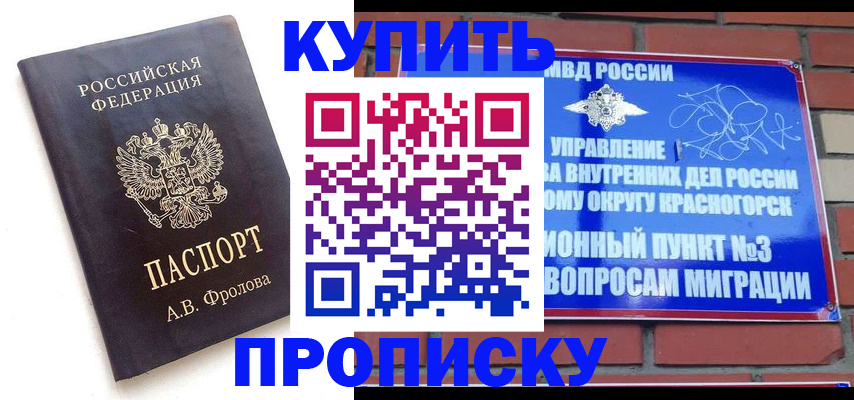 прописка поиск в Сальске